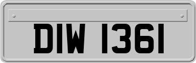 DIW1361
