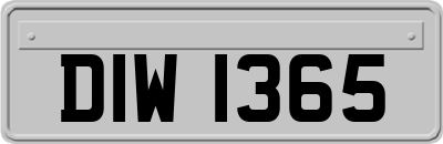 DIW1365