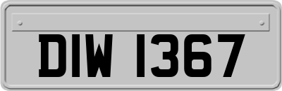 DIW1367