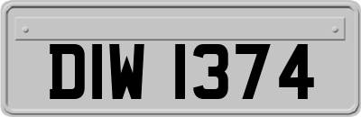 DIW1374