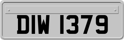 DIW1379