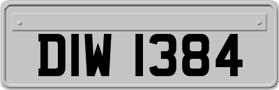 DIW1384