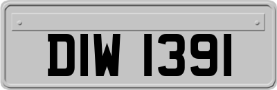 DIW1391
