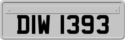 DIW1393