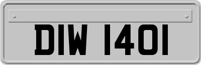 DIW1401