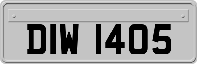 DIW1405