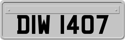 DIW1407