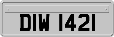 DIW1421