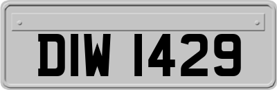 DIW1429
