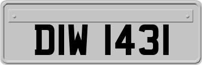 DIW1431