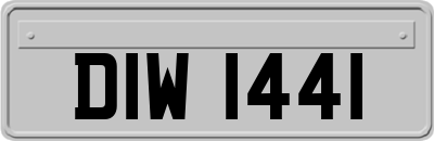 DIW1441