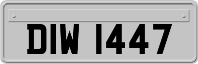 DIW1447