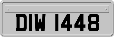 DIW1448