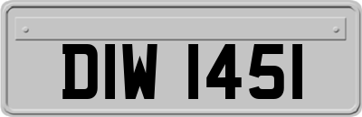 DIW1451