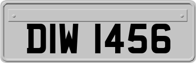DIW1456