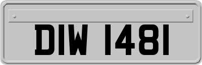 DIW1481