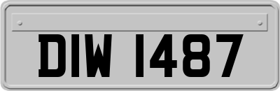 DIW1487