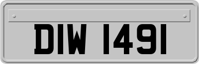DIW1491