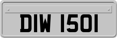 DIW1501