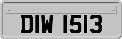 DIW1513