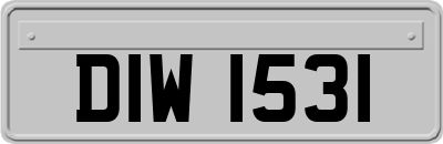 DIW1531