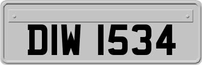 DIW1534