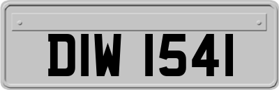 DIW1541