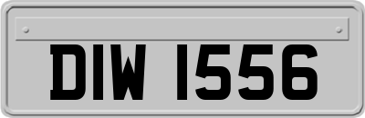 DIW1556