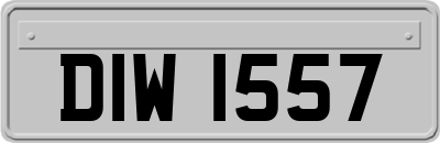 DIW1557