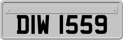 DIW1559