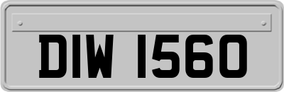DIW1560