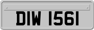 DIW1561