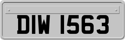 DIW1563