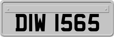 DIW1565