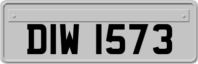 DIW1573