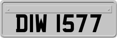 DIW1577