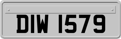 DIW1579