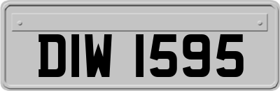 DIW1595