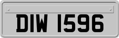 DIW1596