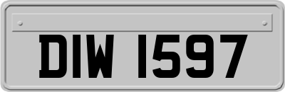 DIW1597