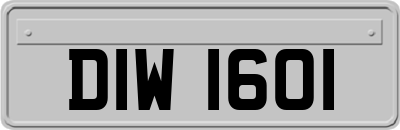 DIW1601