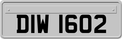 DIW1602