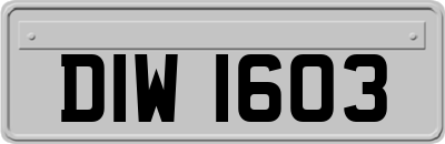 DIW1603