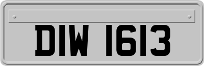 DIW1613