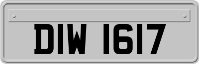 DIW1617