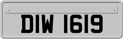 DIW1619