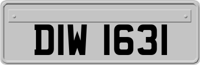 DIW1631