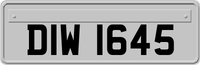 DIW1645
