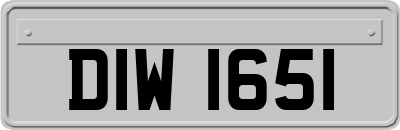 DIW1651