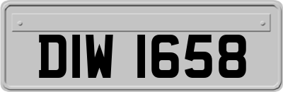 DIW1658
